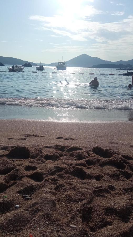 Apartman Nika With Jacuzzi Budva